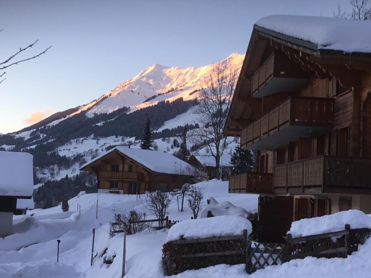 Le Sapin Les Diablerets Exterior foto